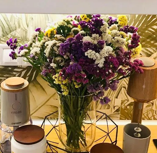 דירה Benaki Balsam קלמאטה